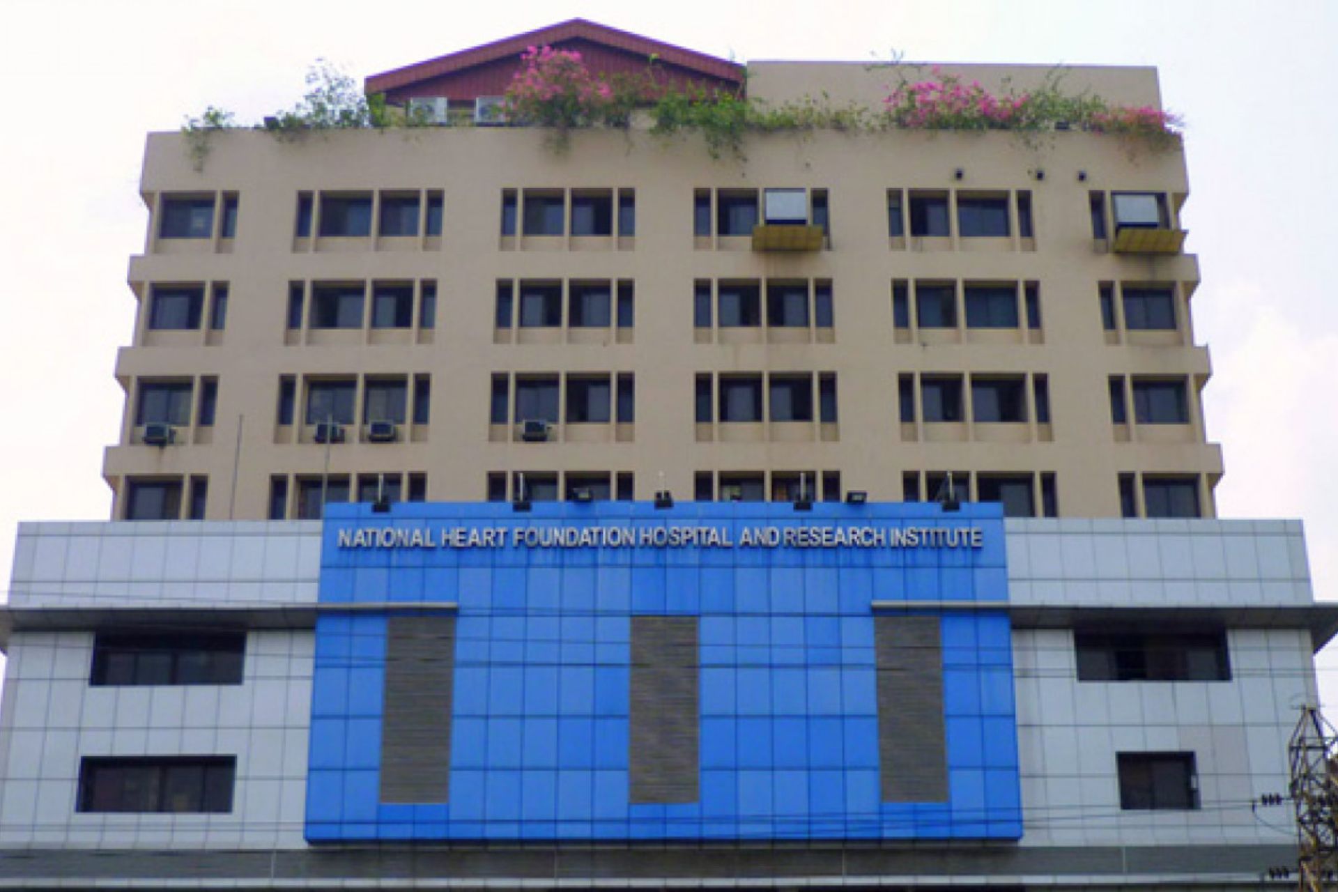 ন্যাশনাল হার্ট ফাউন্ডেশন ডাক্তার তালিকা 